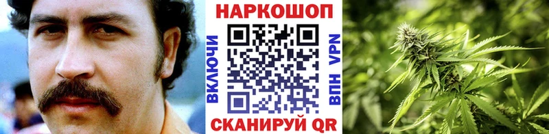 Виды наркоты Порхов Канабис APVP Меф мяу мяу Кокаин