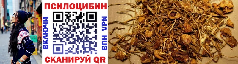 blacksprut маркетплейс официальный сайт Псилоцибиновые грибы ЛСД купить наркотики цена Порхов